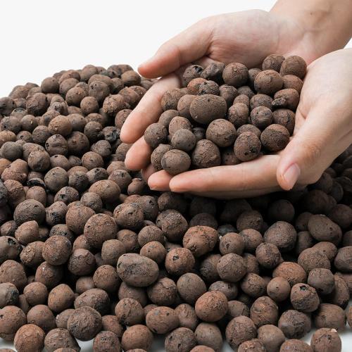 hydroponic stores near me