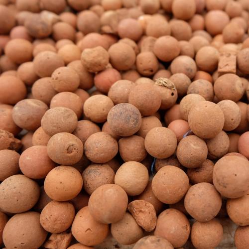 clay balls for plants near me