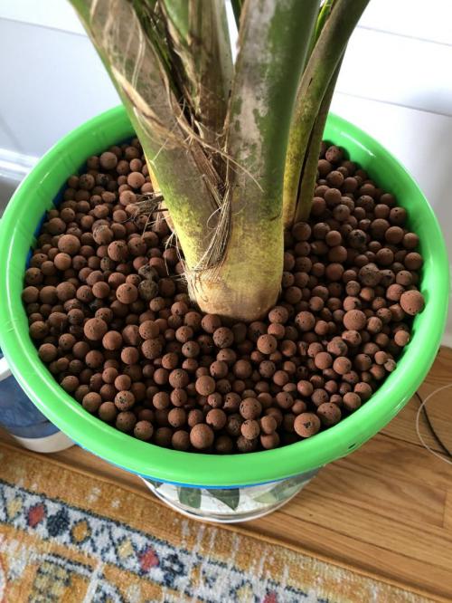 clay balls near me