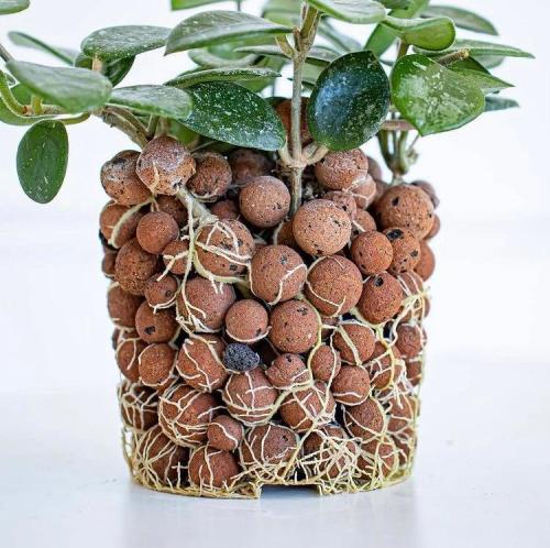 hydroponics stores near me