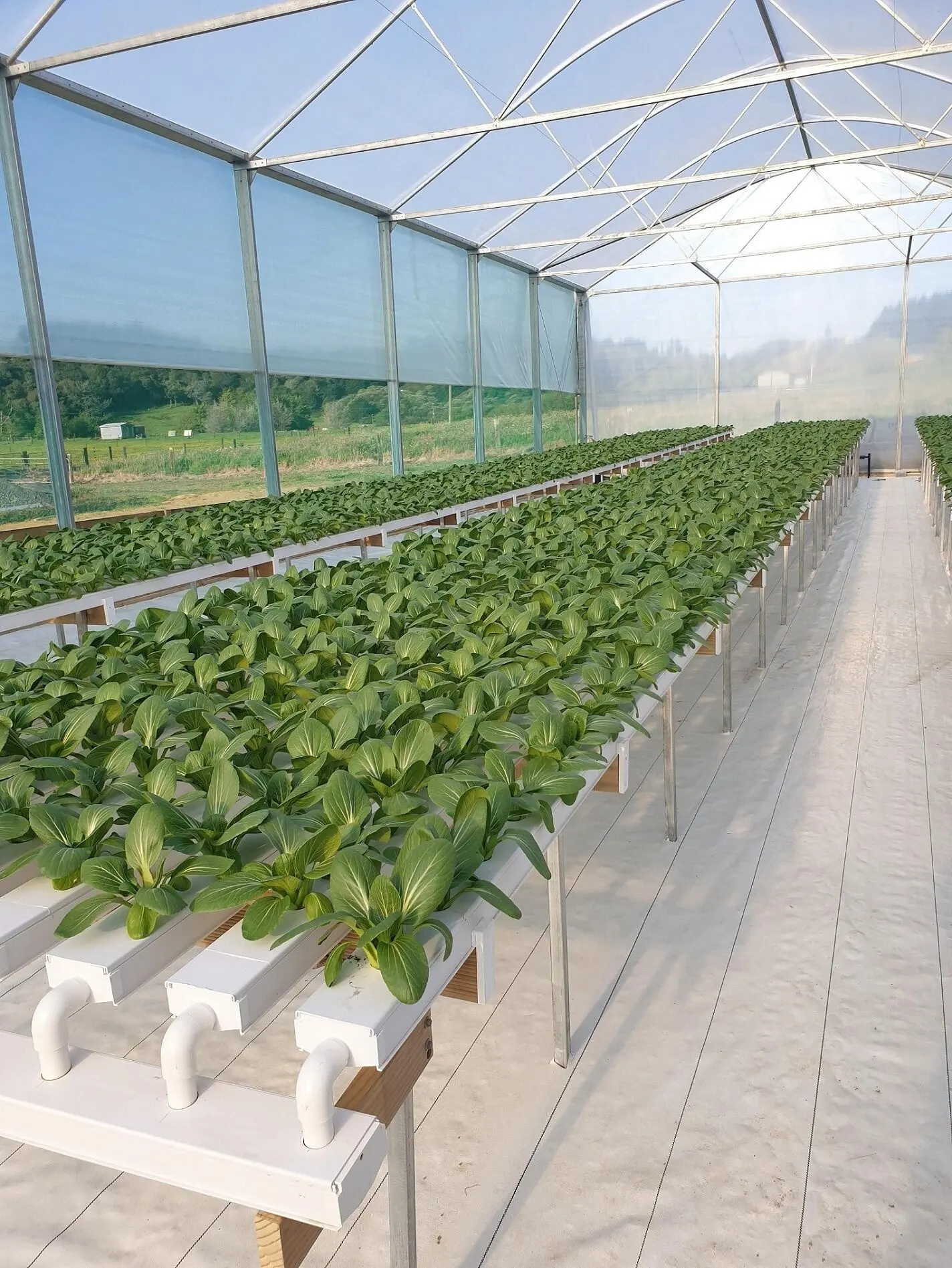 PVC Gutter for Aquaponics Growing Systems Vertical Farming Garden Greenhouses Restaurant Food Shop Provided Hotels