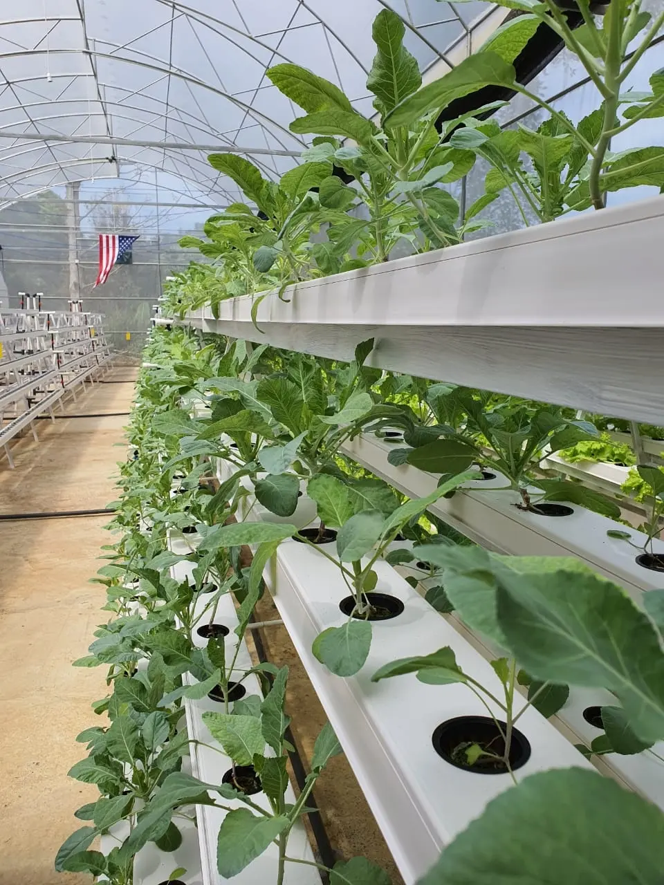 PVC Gutter for Aquaponics Growing Systems Vertical Farming Garden Greenhouses Restaurant Food Shop Provided Hotels