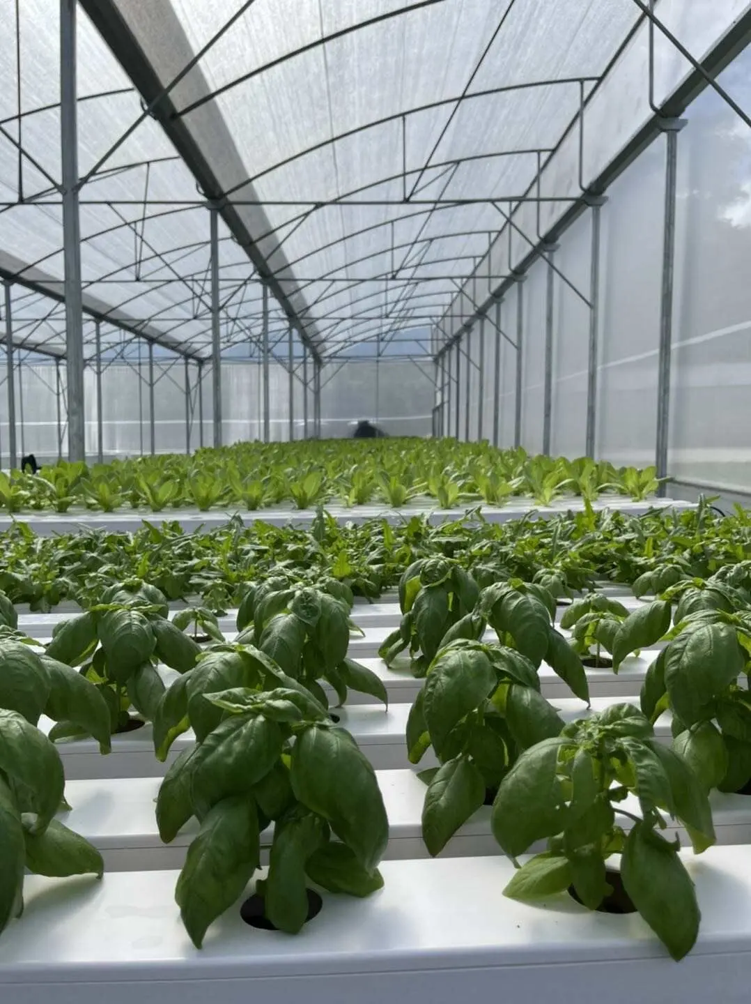 PVC Gutter for Aquaponics Growing Systems Vertical Farming Garden Greenhouses Restaurant Food Shop Provided Hotels