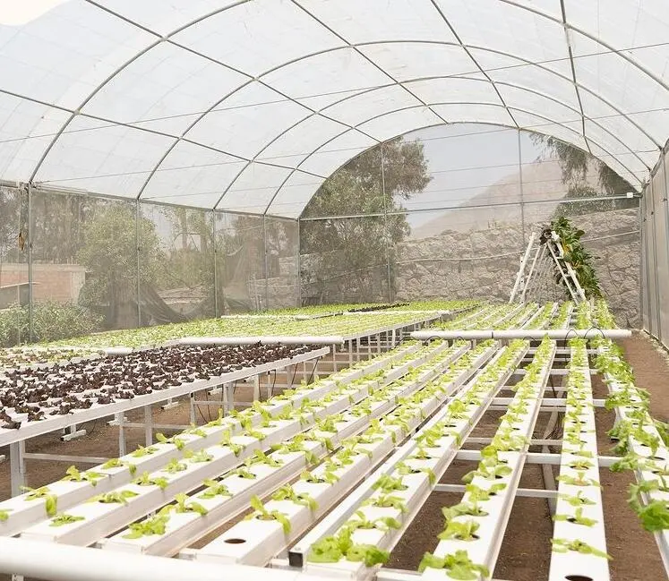 PVC Gutter for Aquaponics Growing Systems Vertical Farming Garden Greenhouses Restaurant Food Shop Provided Hotels