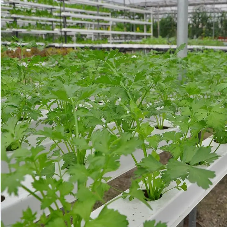 PVC Gutter for Aquaponics Growing Systems Vertical Farming Garden Greenhouses Restaurant Food Shop Provided Hotels