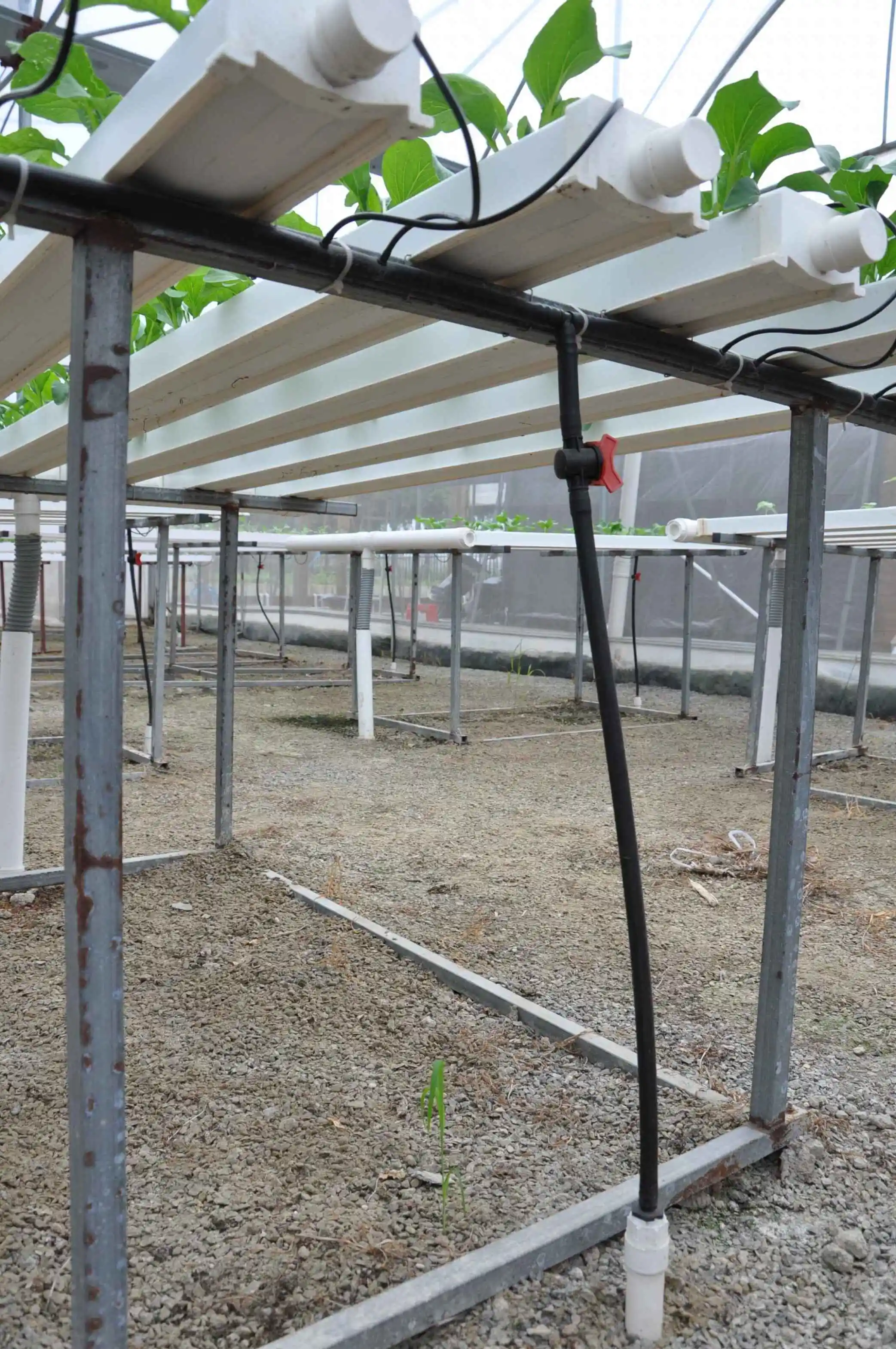 Customized Holes Channel Abled To Be Opened Vertical Farm Hydroponic NFT System
