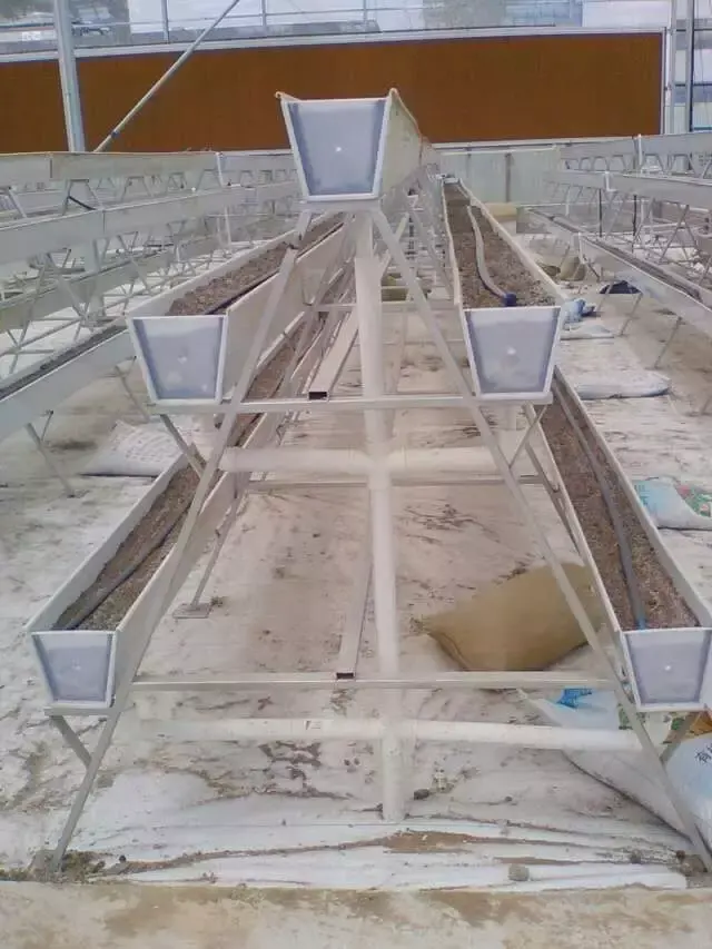 Strawberry PVC Gutter For Hydroponics System Agricultural Greenhouses in Growing Farming Plant