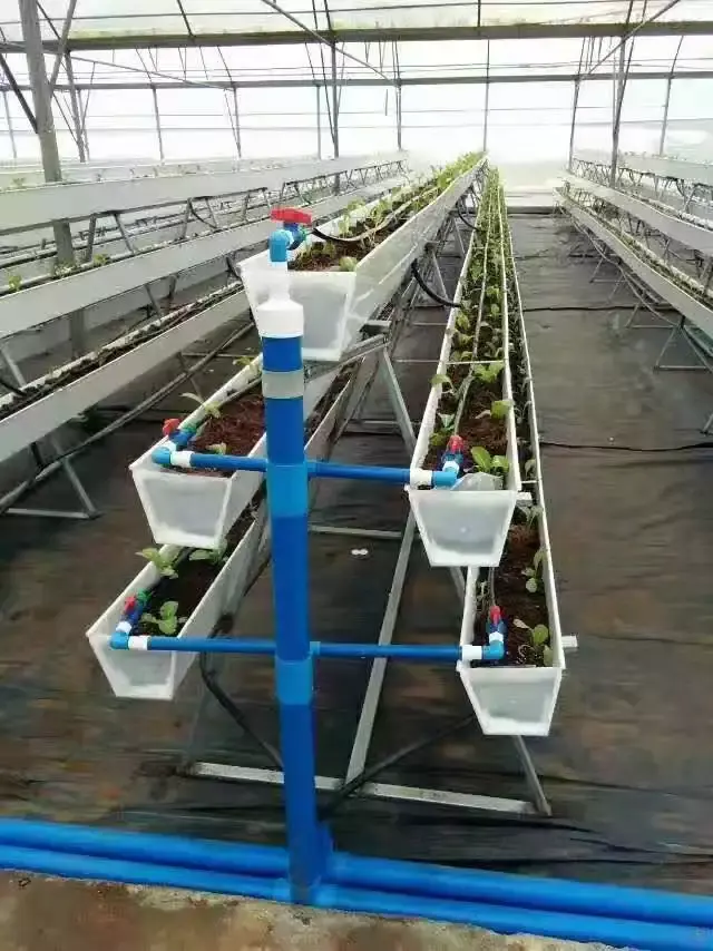 Strawberry PVC Gutter For Hydroponics System Agricultural Greenhouses in Growing Farming Plant