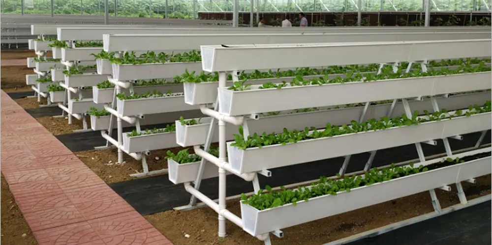 Strawberry PVC Gutter For Agricultural Greenhouses Hydroponics System in Growing Farming Plant