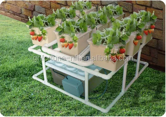 Strawberry PVC Gutter For Agricultural Greenhouses Hydroponics System in Growing Farming Plant