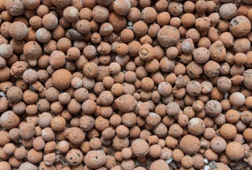 clay balls terrarium