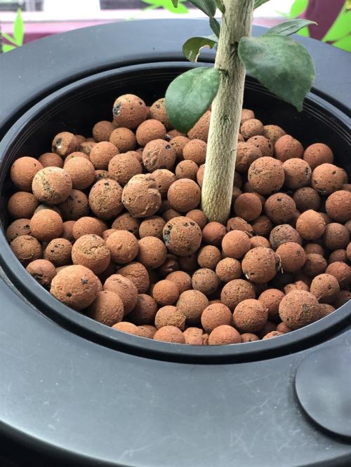 online hydroponics store