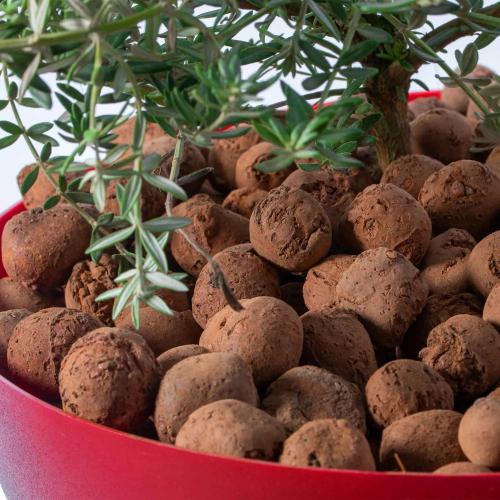 Horticultural Clay Balls: Factory - Wholesale, High - Quality, Well - designed, Abundant Supply for Horticulture