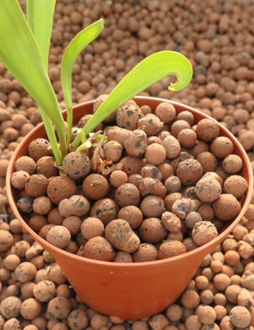 indoor hydroponic gardens