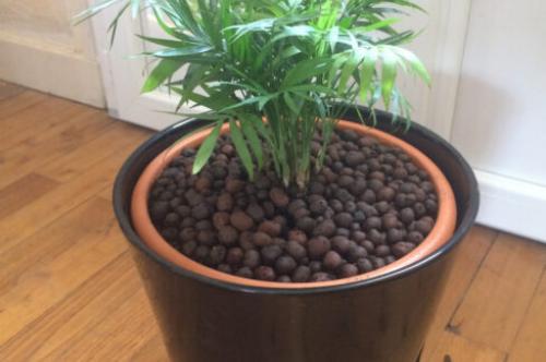 rockwool grow cubes