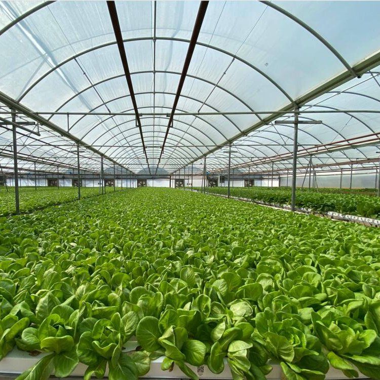 Hydroponics Plastic NFT Gutter for Indoor Growing Systems Vertical Farming