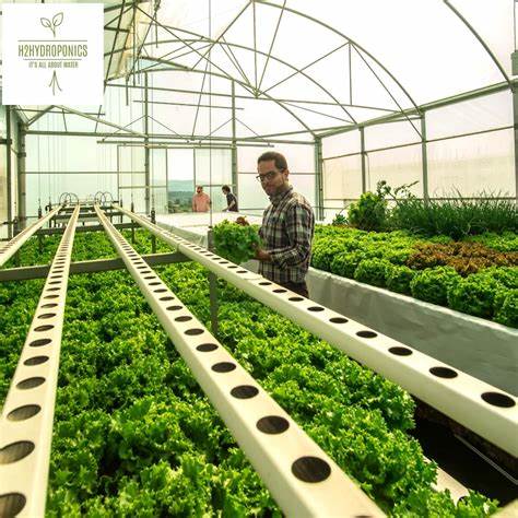 Hydroponics Plastic NFT Gutter for Indoor Growing Systems Vertical Farming