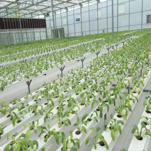 Saving fertilizer High quality PVC channel Lettuce Growing Hydroponic NFT Growing System