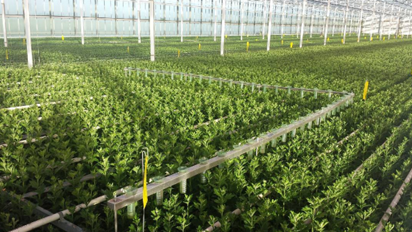Top Sale Indoor Farming Hydroponic Grow Light UPVC Rectangular NFT