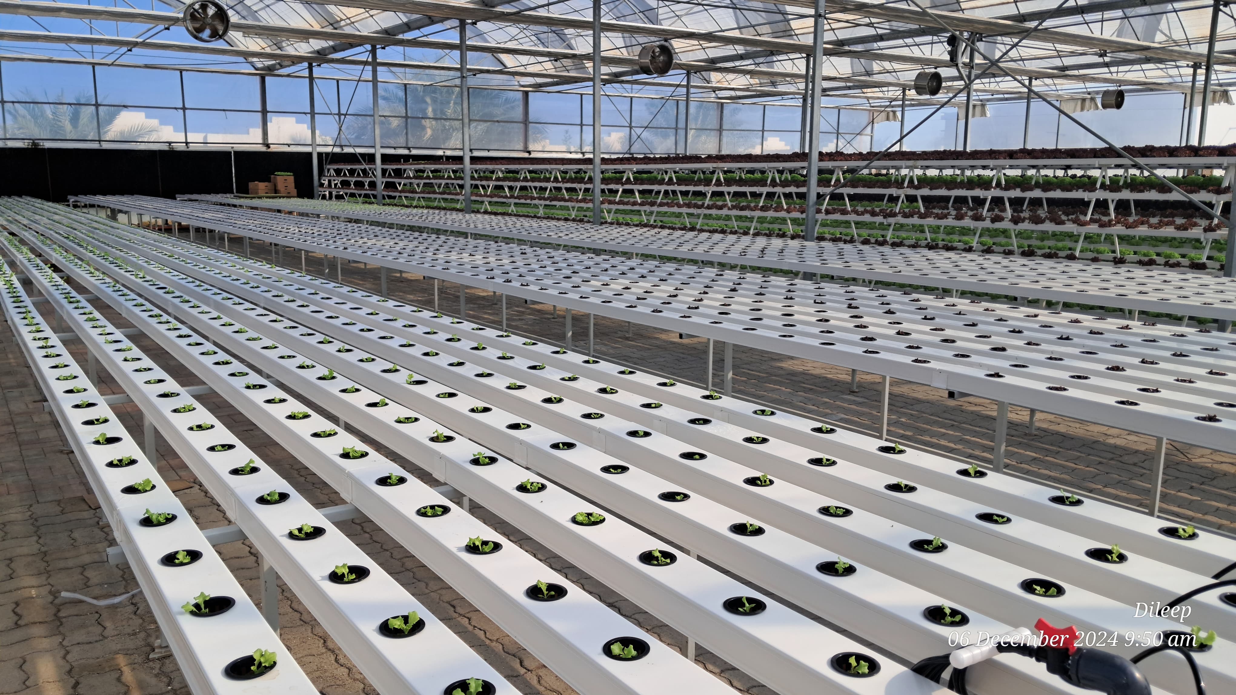 Aquaponic Hydroponics Greenhouse NFT Hydroponic nft growing system