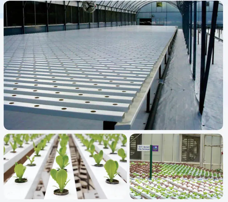 Nutrient Solution NFT Hydroponic 100x50mm Channel for Fish and Vegetable Aquaponics System