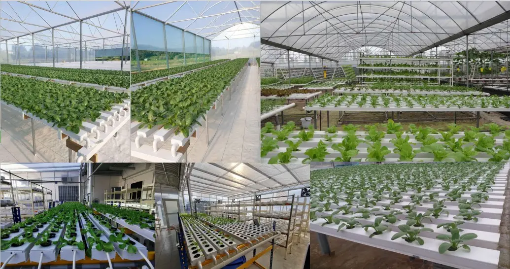 Nutrient Solution NFT Hydroponic 100x50mm Channel for Fish and Vegetable Aquaponics System