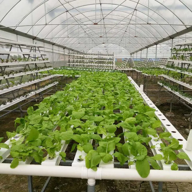 Aquaponic Hydroponics Indoor Hydroponic NFT Channel