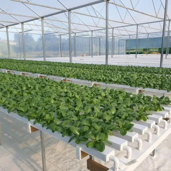 Aquaponic Hydroponics Indoor Hydroponic NFT Channel