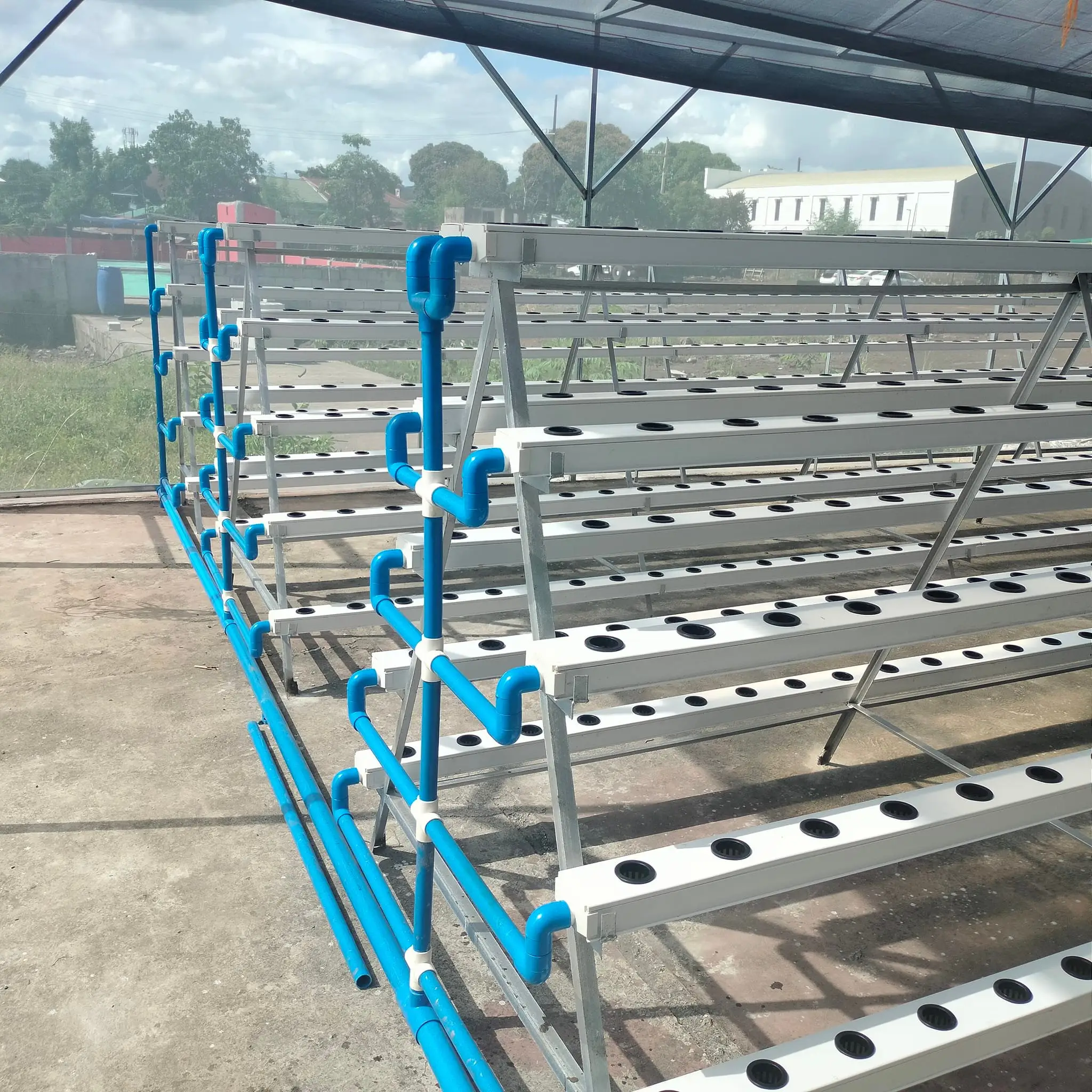 Chinese style greenhouse polycarbonate greenhouse commercial with NFT Leafy vegetable hydroponic system