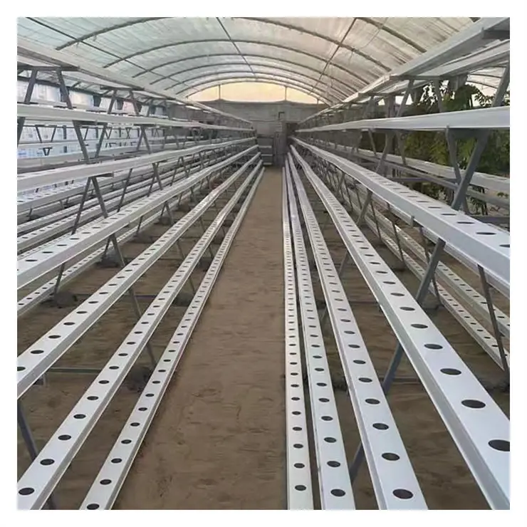 Chinese style greenhouse polycarbonate greenhouse commercial with NFT Leafy vegetable hydroponic system