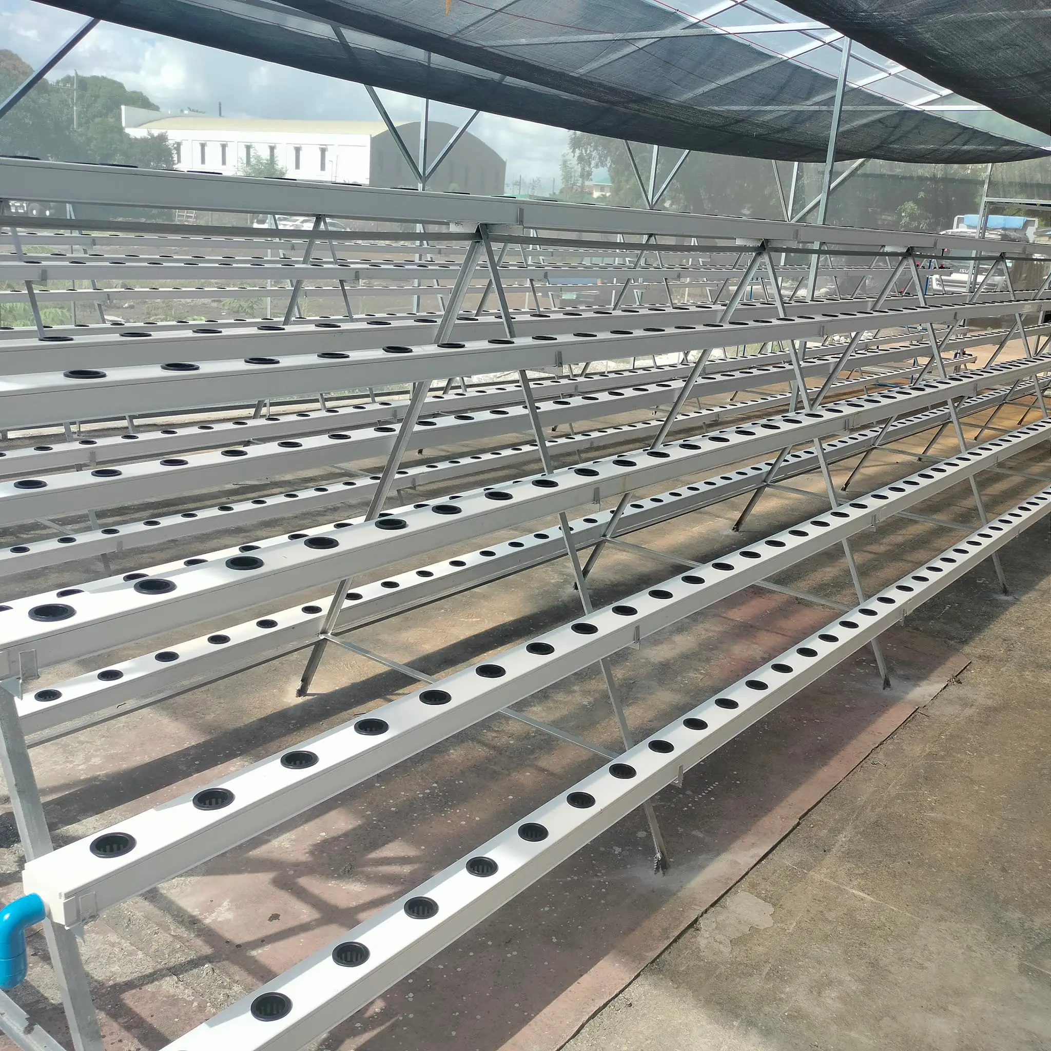 Chinese style greenhouse polycarbonate greenhouse commercial with NFT Leafy vegetable hydroponic system