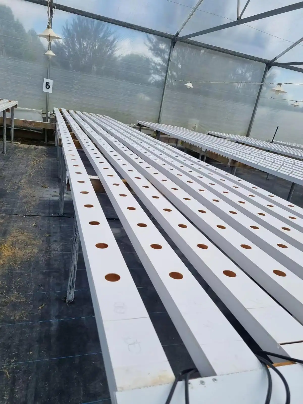 Chinese style greenhouse polycarbonate greenhouse commercial with NFT Leafy vegetable hydroponic system