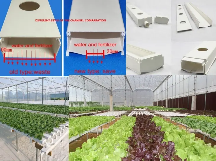 Agriculture Greenhouse hydroponics NFT Growing System for Salad