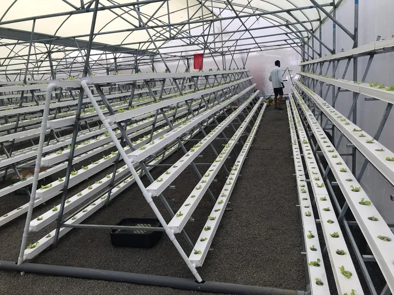 4x2 Inch UPVC Pipe Vertical Nft Hydroponics Growing System Paper Tubes for Lettuce Multi-span Agricultural Greenhouses Film PE