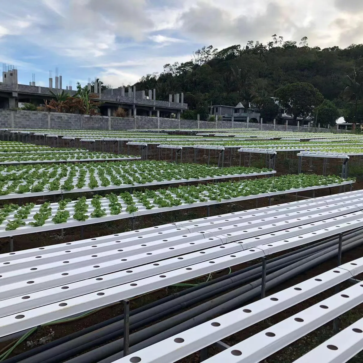 Factory price 100x50mm NFT channel grow tube for greenhouse hydroponics lettuce project vertical growing system farming