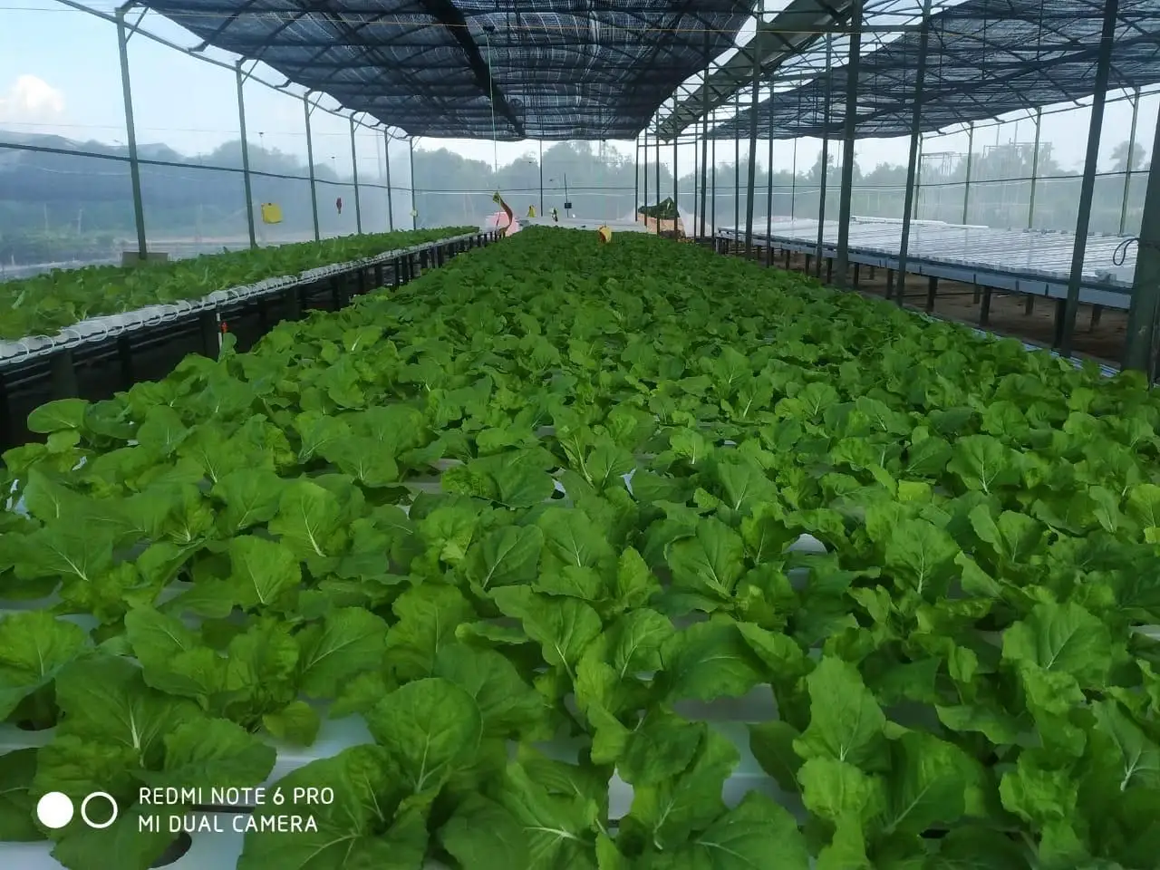 Factory price 100x50mm NFT channel grow tube for greenhouse hydroponics lettuce project vertical growing system farming