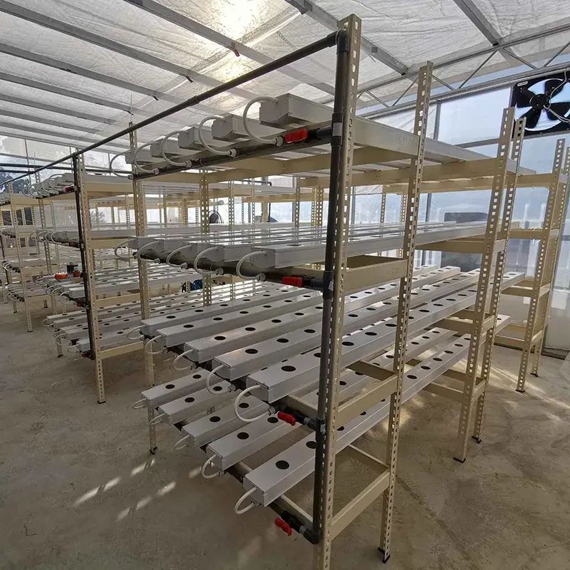 HOT sell NFT Channel Hydroponics Container PVC Channel for Growing System