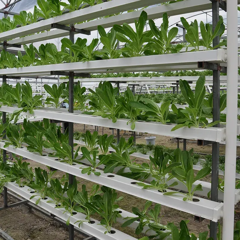 HOT sell NFT Channel Hydroponics Container PVC Channel for Growing System