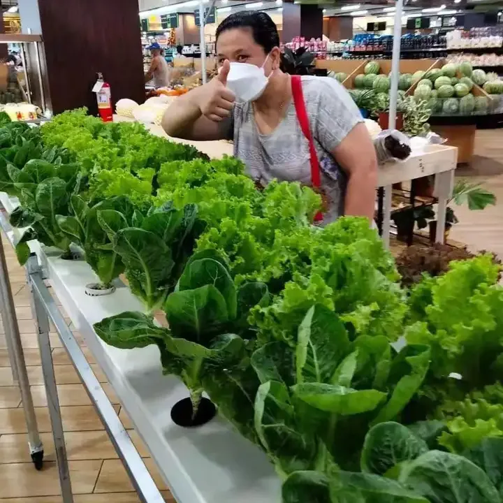 Best Agriculture Greenhouse Accessories Farming Super farm Nft channel Hydroponic Container System