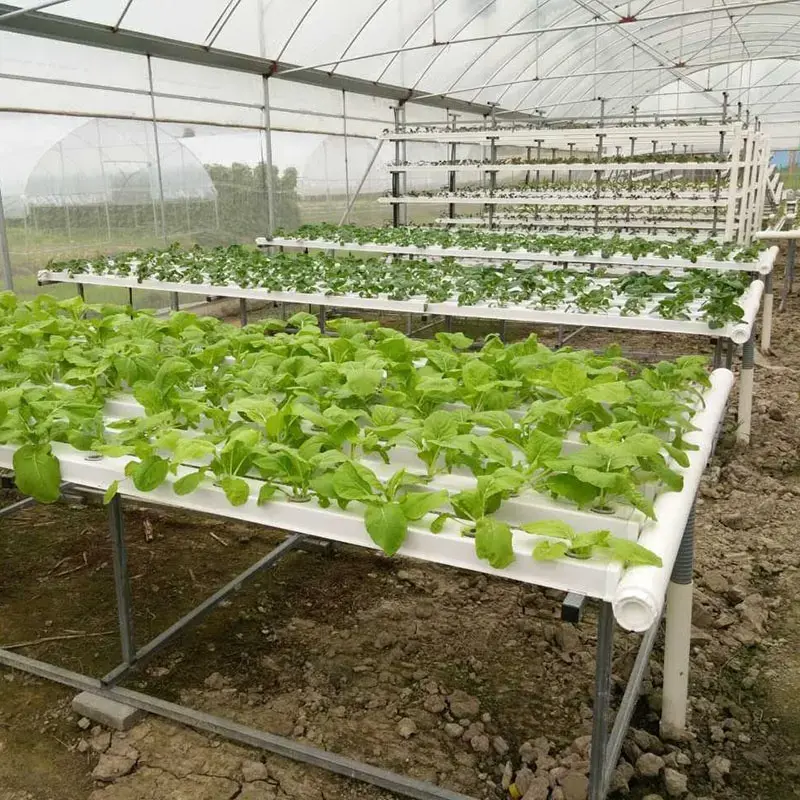 Best Agriculture Greenhouse Accessories Farming Super farm Nft channel Hydroponic Container System