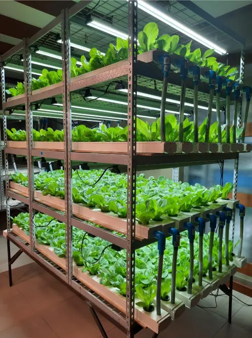 New Style Greenhouse Seedling Tray A Type nft channel hydroponics growing system