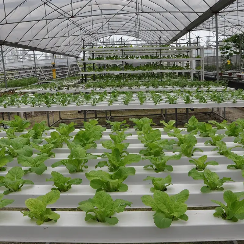 G&N Hydroponics Greenhouse Equipment NFT PVC Channel for Growing System