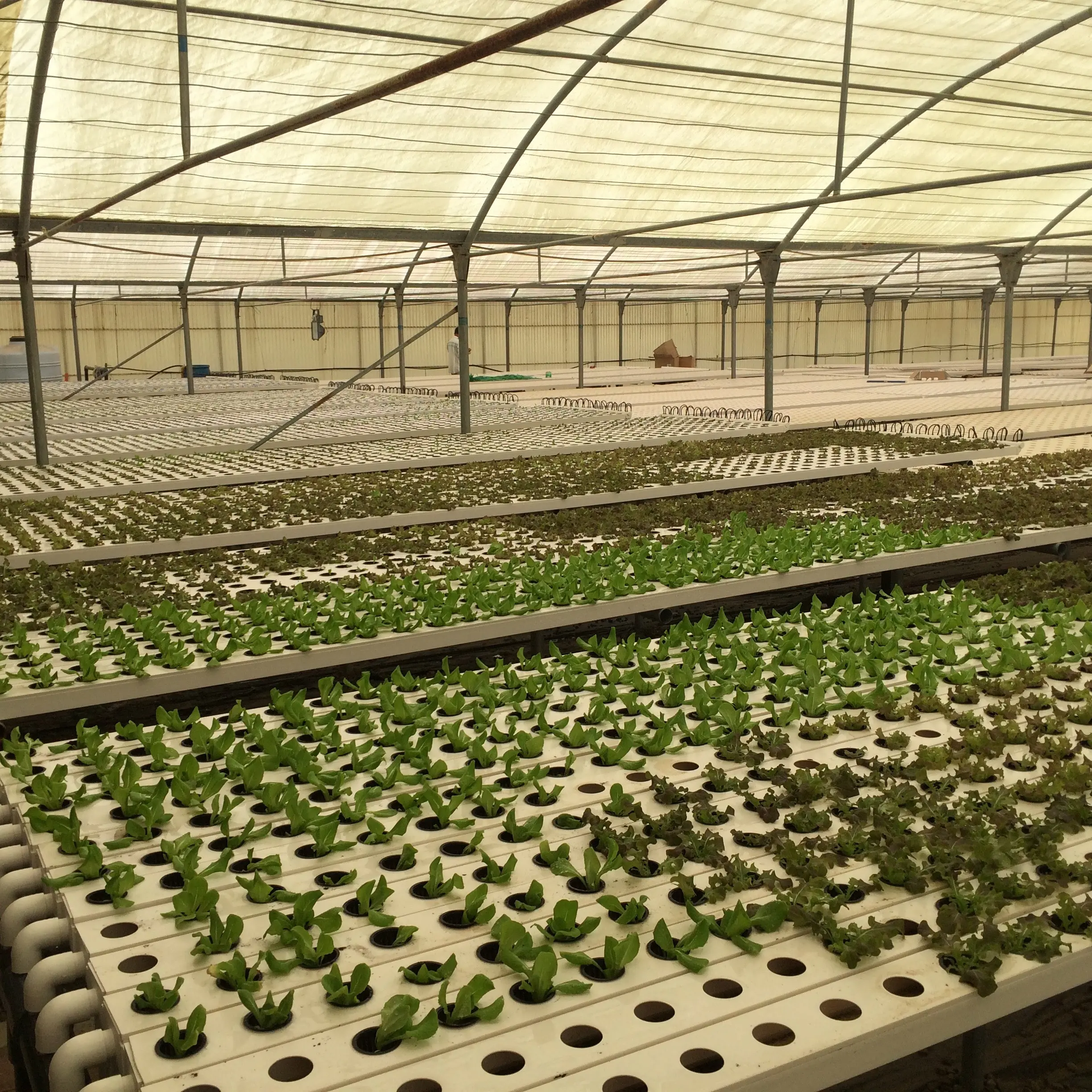 Hydroponics Greenhouse Water Saving PVC NFT Channel Pipe Net Pot Vertical Farming Growing System