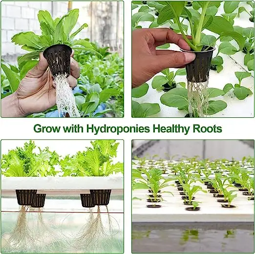 Growers hydroponics 4