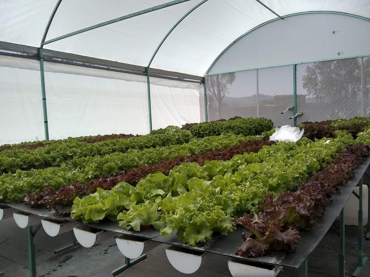 grow system greenhouse supplier vertical farm greenhouse system hydroponics growing equipment