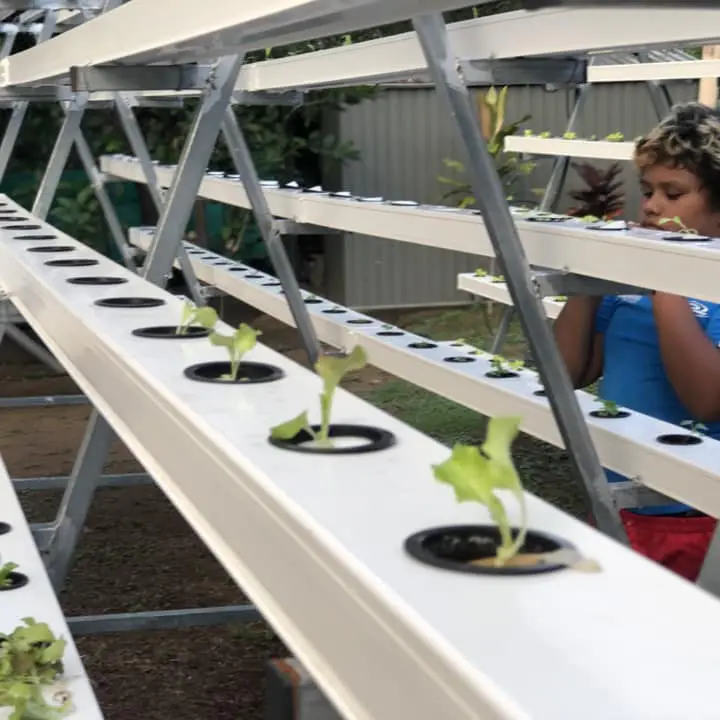 hydroponic nft aeroponics systems outdoor hydroponic growing systems