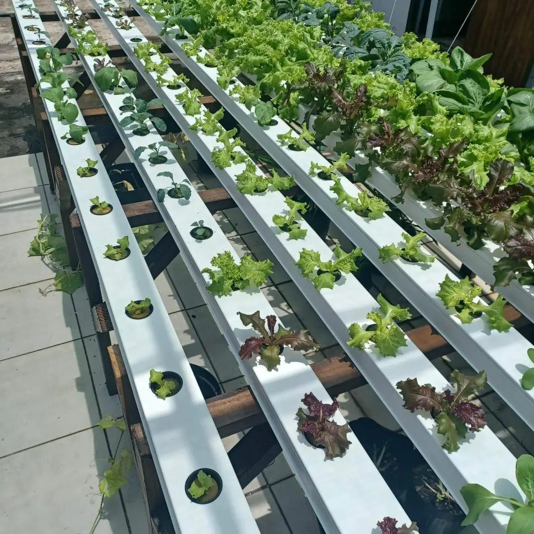 hydroponic nft aeroponics systems outdoor hydroponic growing systems