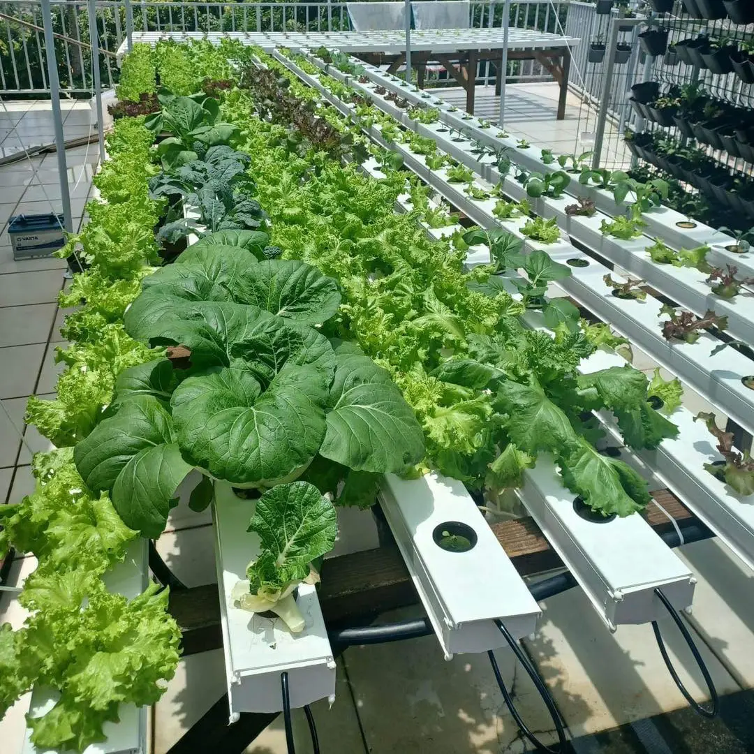 hydroponic nft aeroponics systems outdoor hydroponic growing systems