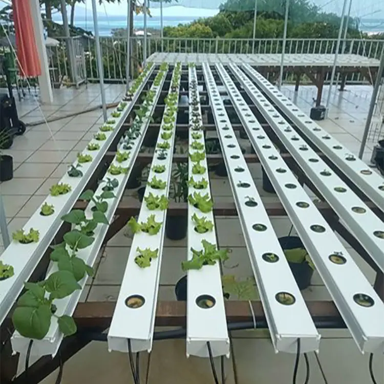 hydroponic nft aeroponics systems outdoor hydroponic growing systems