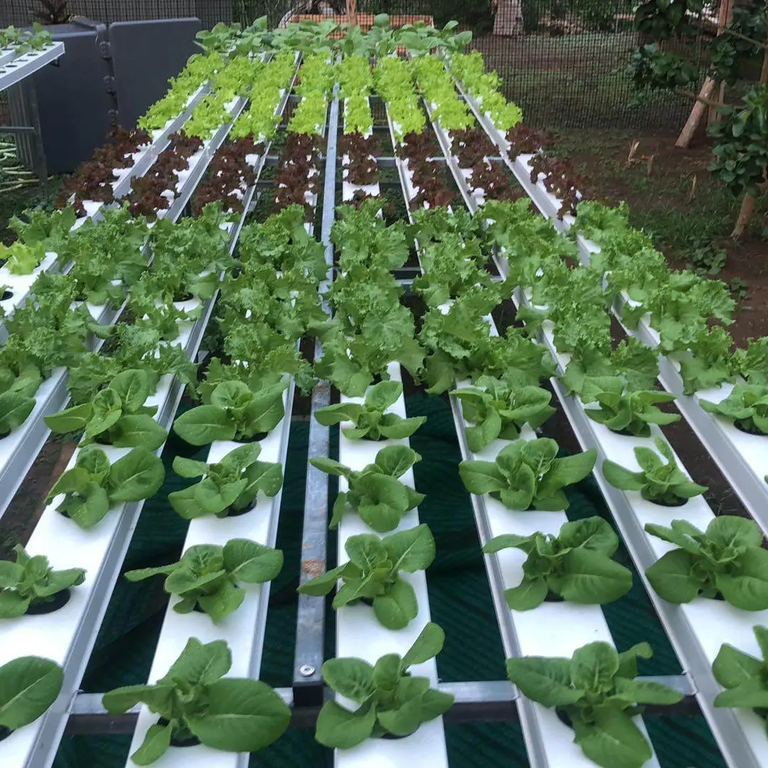 hydroponic nft aeroponics systems outdoor hydroponic growing systems